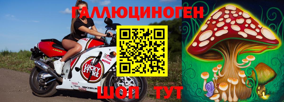 Елабуга  Галлюциногенные грибы Psilocybine cubensis  Вход с VPN  Галлюциногенные грибы прущие грибы 